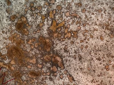 Professional emergency water extraction services services in Durham